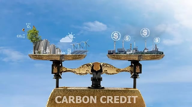 Voluntary Carbon Markets in India and How They Have Evolved Over the Years